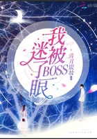 我被BOSS迷了眼